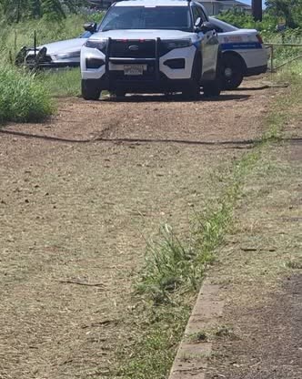VEHICLE THEFT - Oahu | SSH Search