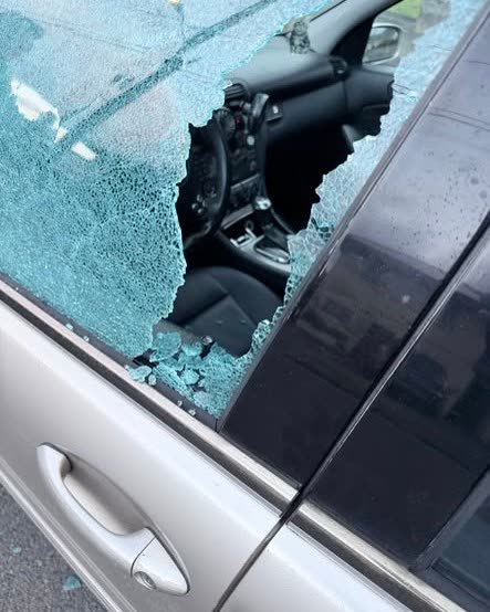 CRIMINAL PROPERTY DAMAGE - Oahu | SSH Search