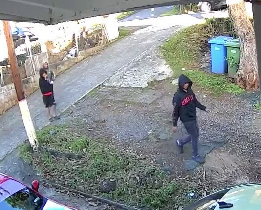 THEFT - Oahu | SSH Search