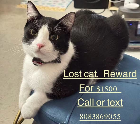 LOST PET - Oahu | SSH Search