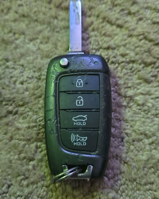 FOUND ITEM - Oahu | SSH Search
