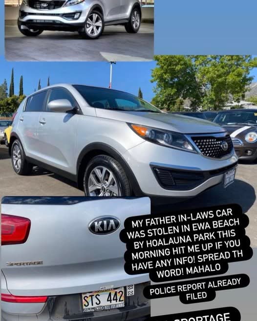 VEHICLE THEFT - Oahu | SSH Search