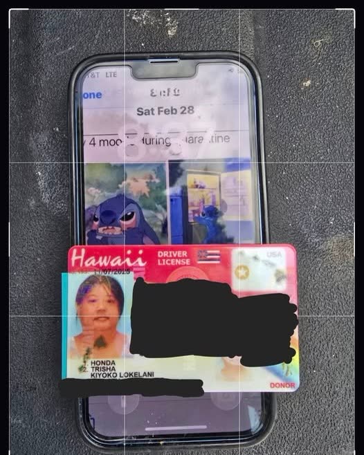 FOUND ITEM - Oahu | SSH Search
