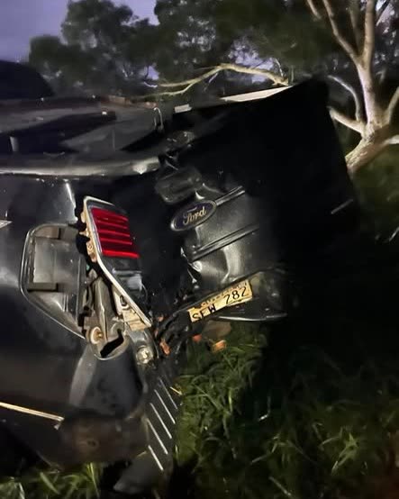 HIT AND RUN - Oahu | SSH Search
