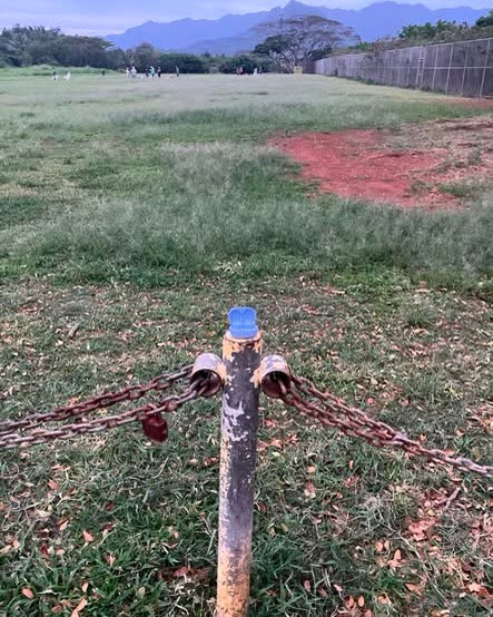 FOUND ITEM - Oahu | SSH Search
