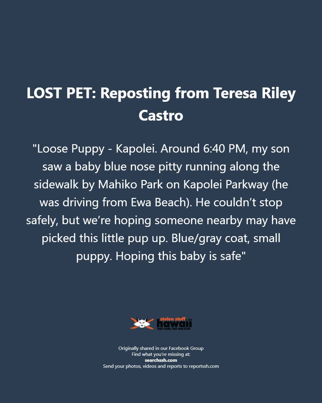 LOST PET - Kapolei | Stolen Stuff Hawaii