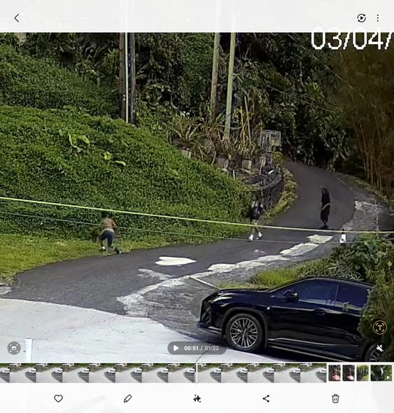 THEFT - Oahu | SSH Search