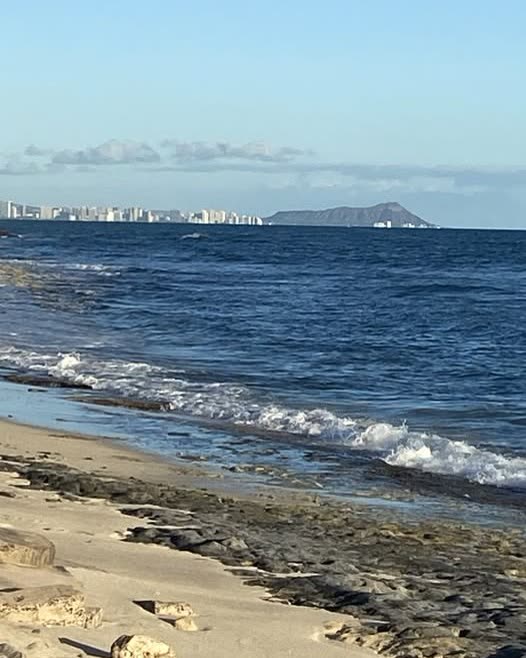 FOUND ITEM - Oahu | SSH Search