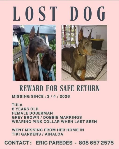LOST PET - Oahu | SSH Search