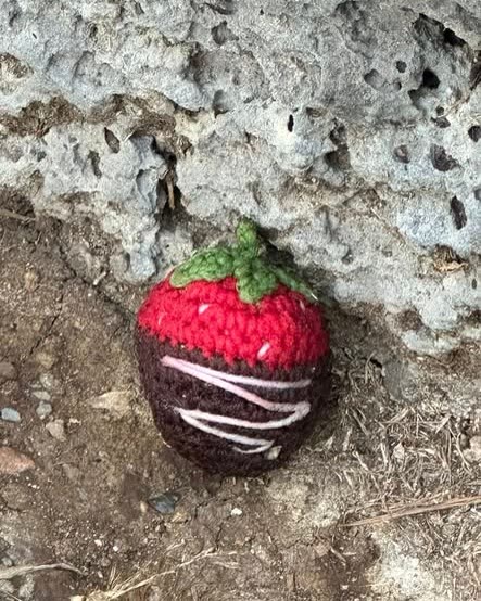 FOUND ITEM - Oahu | SSH Search