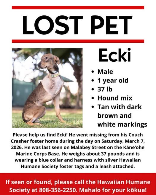 MISSING PERSON - Oahu | SSH Search