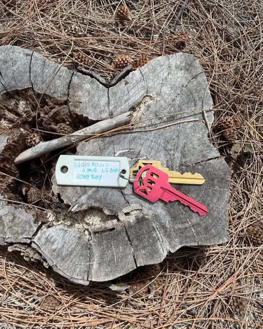 FOUND ITEM - Oahu | SSH Search