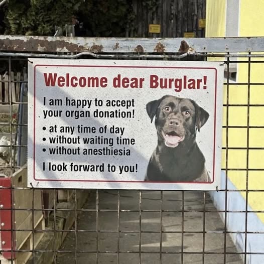 HUMOR - Oahu | SSH Search