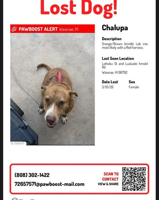 LOST PET - Oahu | SSH Search