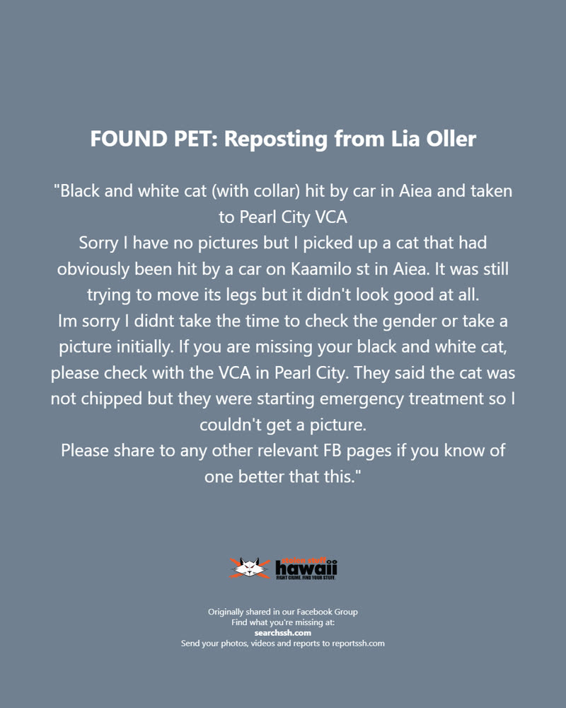 FOUND PET - Oahu | SSH Search