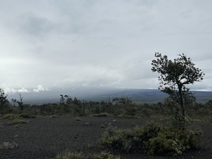 WEATHER ALERT - Oahu | SSH Search