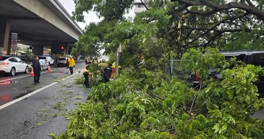 WEATHER ALERT - Oahu | SSH Search