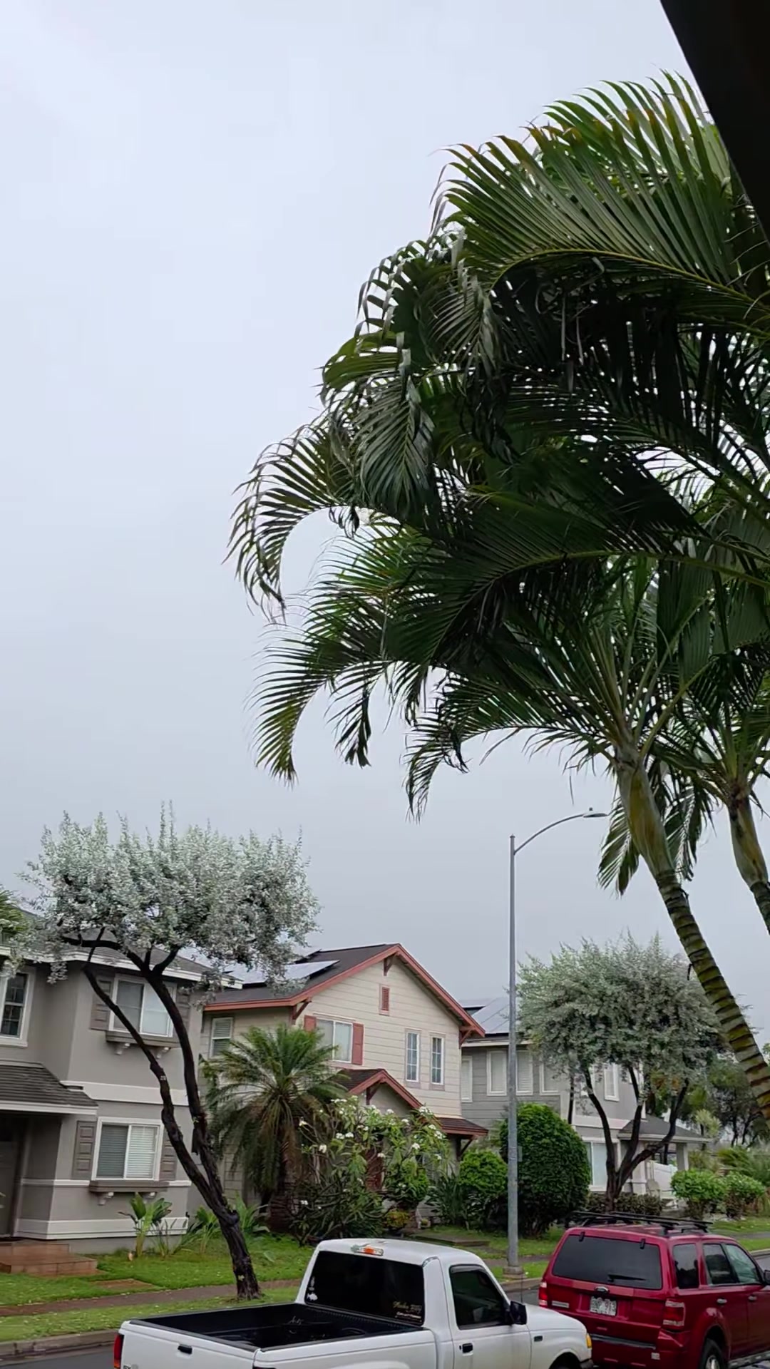 SSH OFFICIAL - Oahu | Stolen Stuff Hawaii