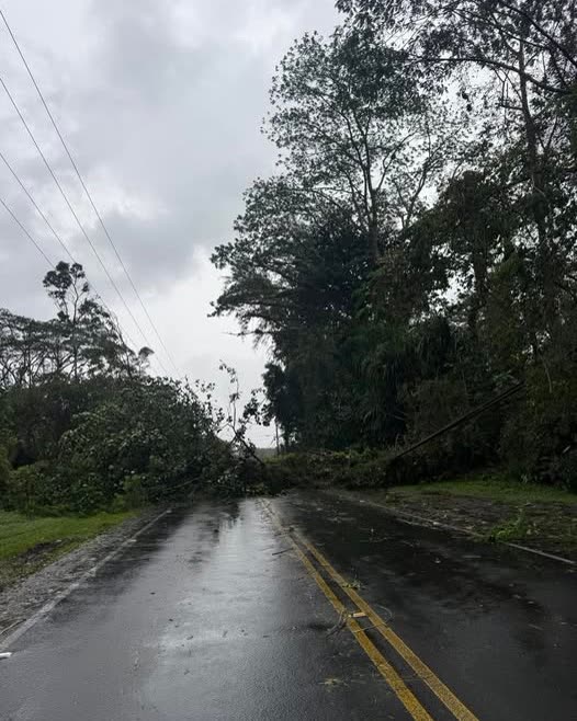 TRAFFIC INCIDENT - Hawaii | SSH Search
