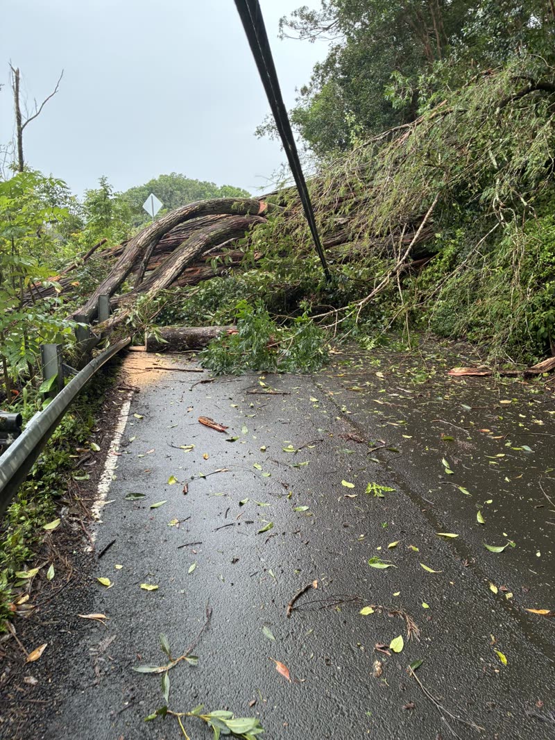 WEATHER ALERT - Oahu | SSH Search