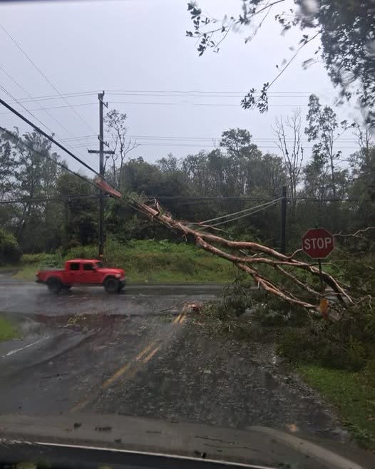 WEATHER ALERT - Oahu | SSH Search