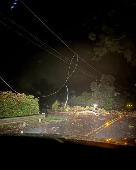 WEATHER ALERT - Hawaii | SSH Search