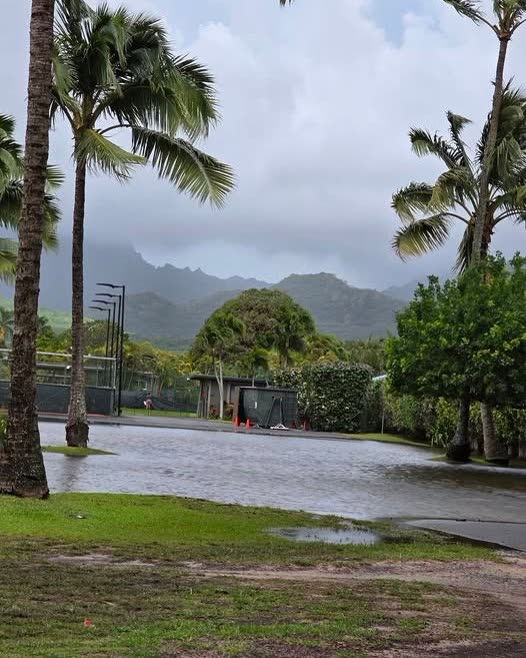 WEATHER ALERT - Oahu | SSH Search