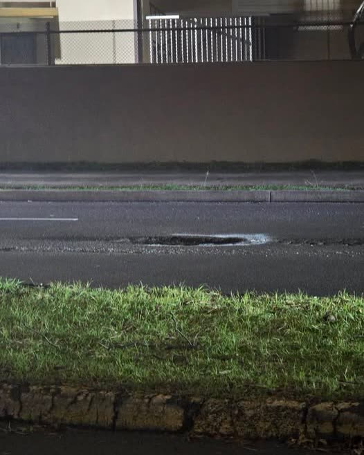TRAFFIC - Oahu | SSH Search