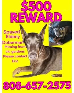 LOST PET - Oahu | SSH Search
