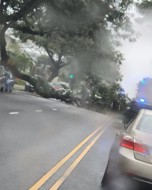 TRAFFIC INCIDENT - Oahu | SSH Search