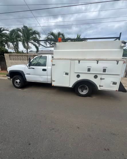 VEHICLE THEFT - Oahu | SSH Search
