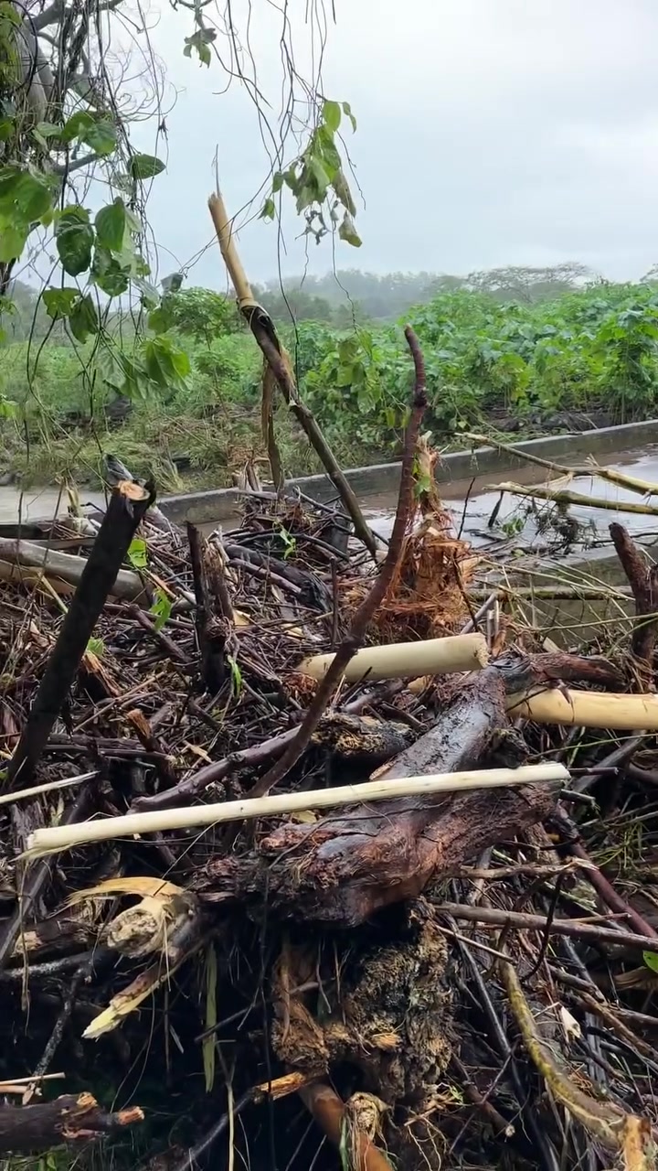FLOOD - Oahu | Stolen Stuff Hawaii