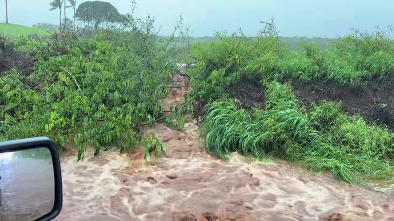 FLOOD - Maui | Stolen Stuff Hawaii