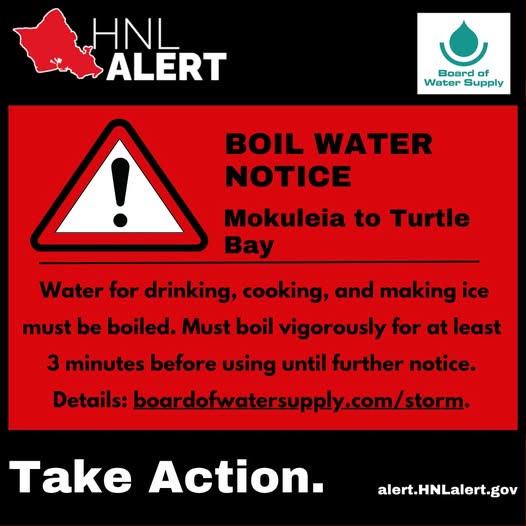 SAFETY ALERT - Oahu | SSH Search