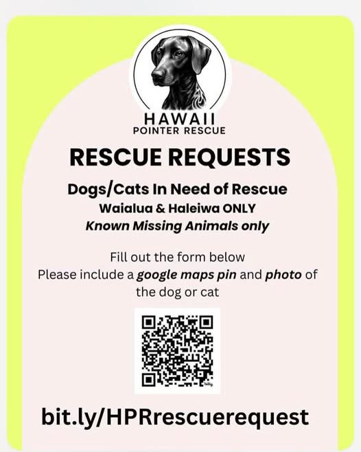 COMMUNITY - Oahu | SSH Search