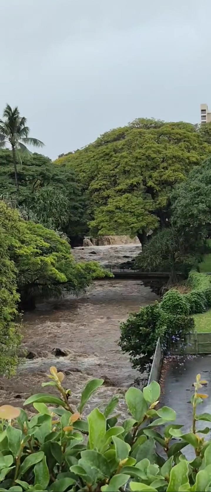 FLOOD - Oahu | Stolen Stuff Hawaii