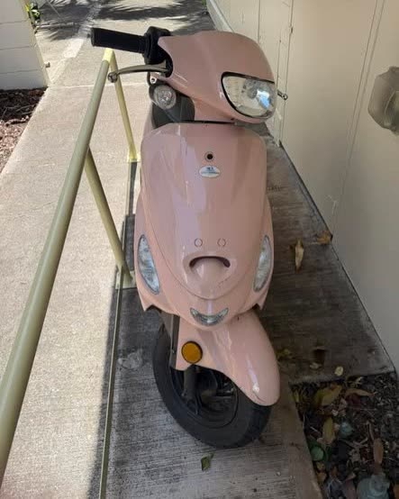 FOUND ITEM - Oahu | SSH Search