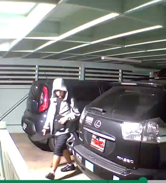 BURGLARY - Oahu | SSH Search