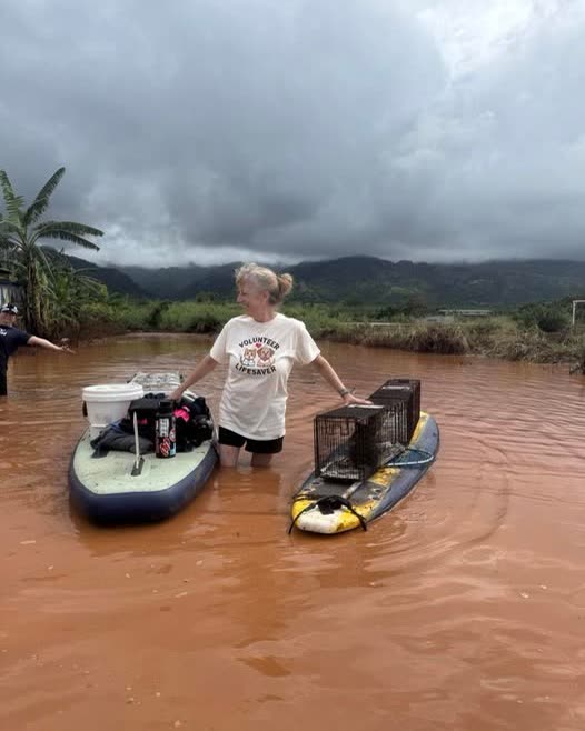 VOLUNTEER SERVICE - Oahu | SSH Search