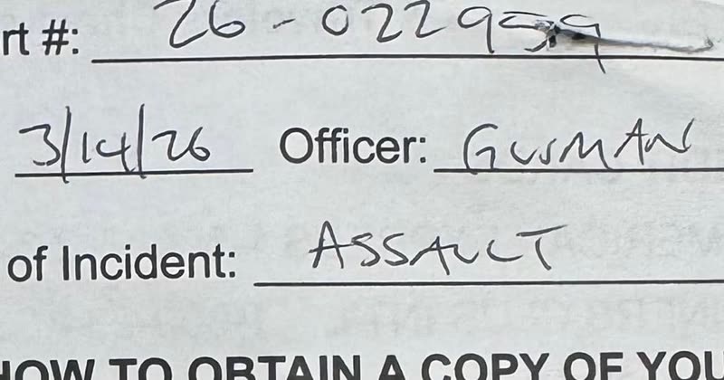 ASSAULT - Oahu | SSH Search