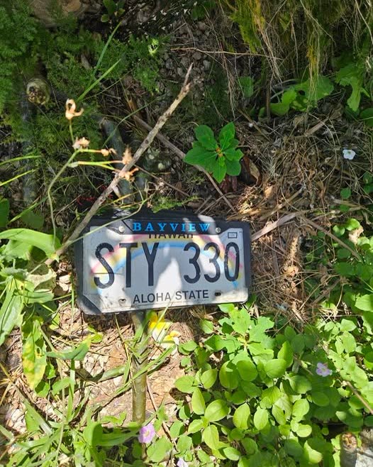 FOUND ITEM - Oahu | SSH Search