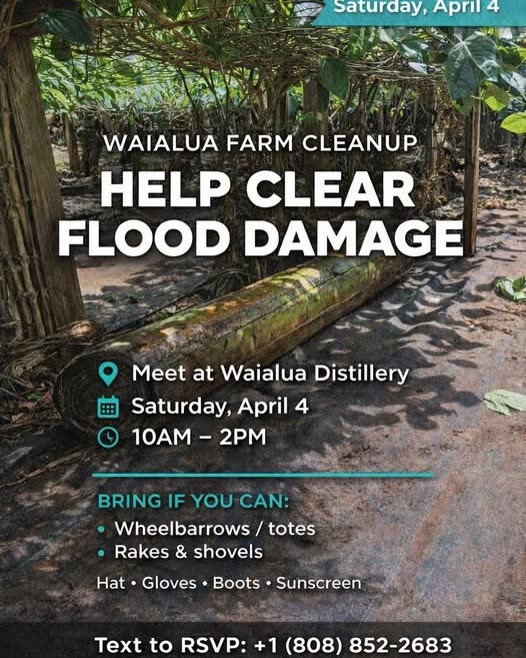CLEANUP - Oahu | SSH Search