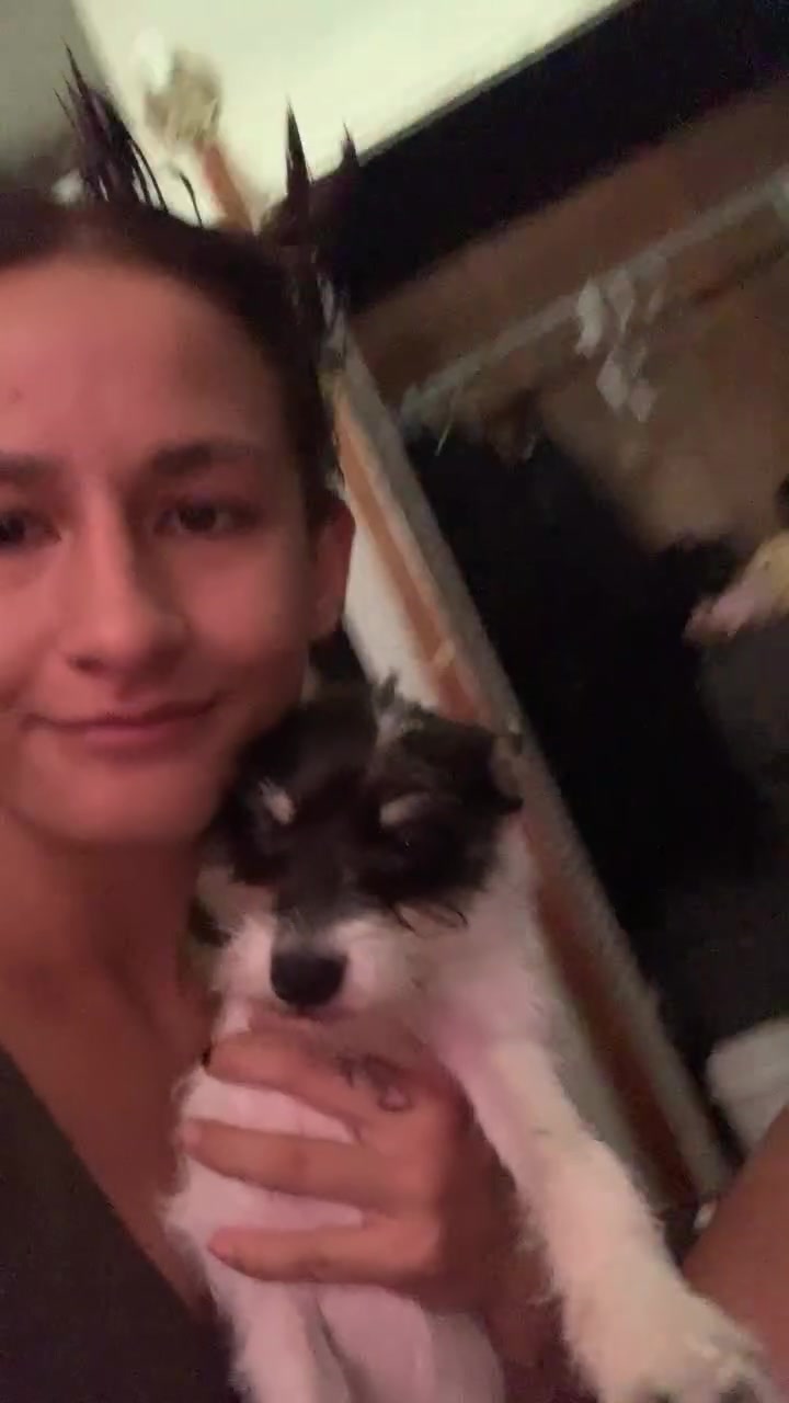 LOST PET - Oahu | Stolen Stuff Hawaii