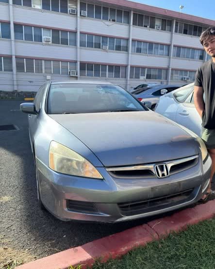 VEHICLE THEFT - Oahu | SSH Search