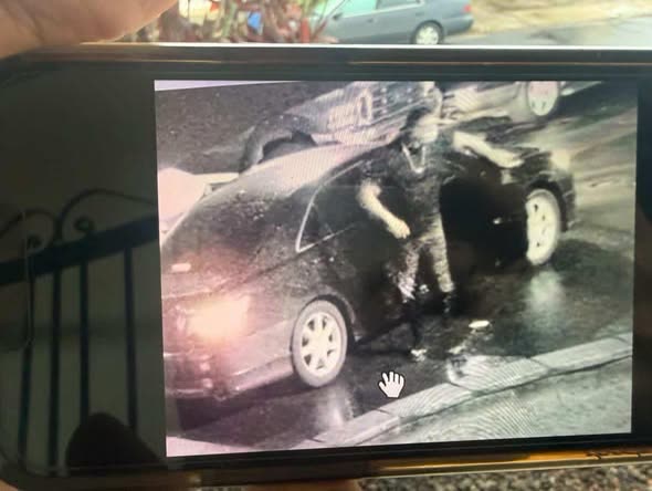 VEHICLE THEFT - Oahu | SSH Search