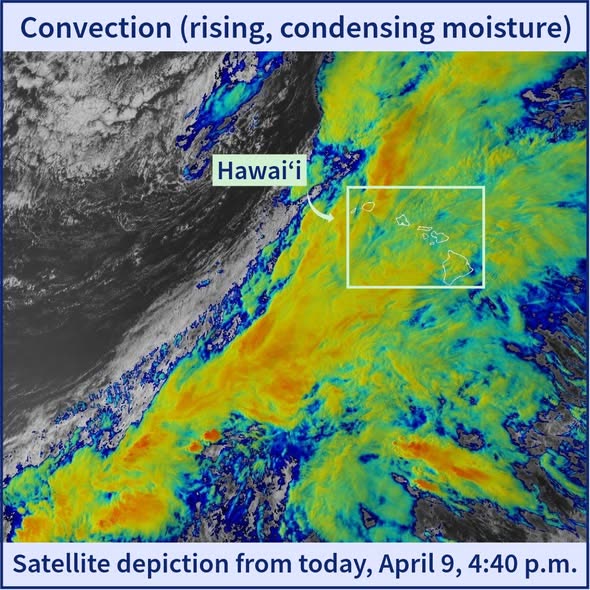 HI-EMA OFFICIAL - Oahu | SSH Search