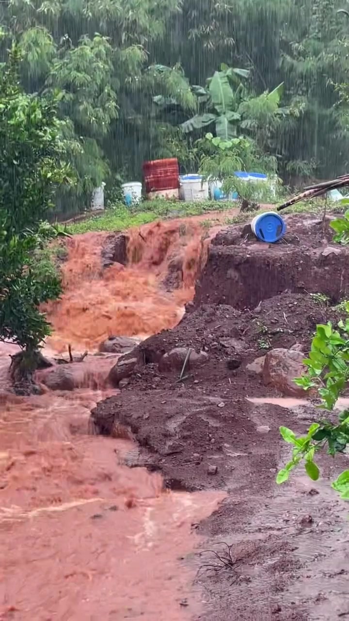 FLOOD - Oahu | Stolen Stuff Hawaii