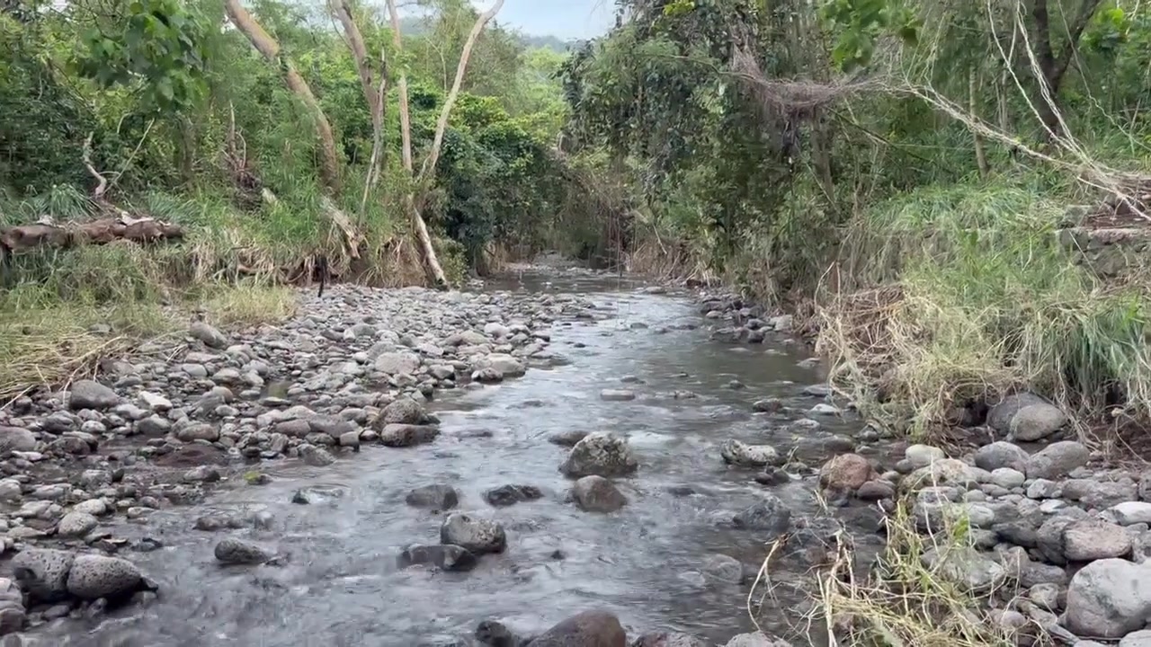 CLEANUP - Oahu | Stolen Stuff Hawaii