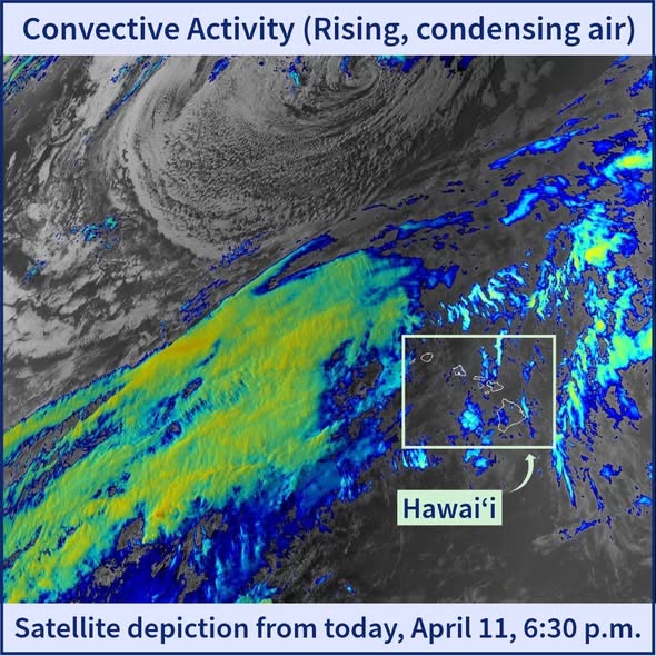 HI-EMA OFFICIAL - Oahu | SSH Search