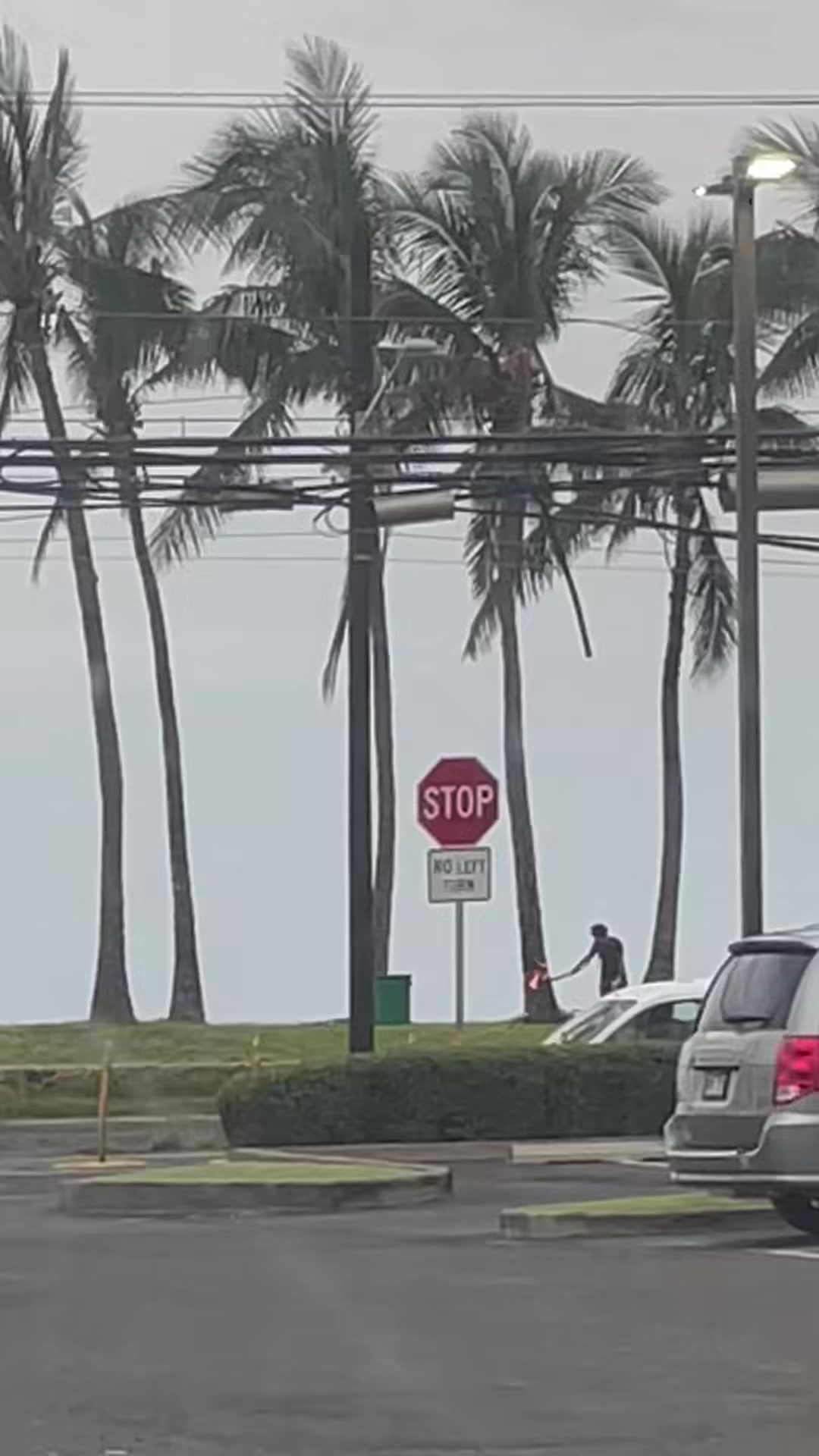 HUMOR - Oahu | Stolen Stuff Hawaii
